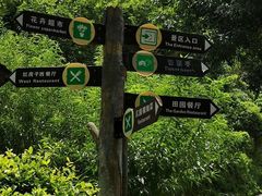 -青青世界