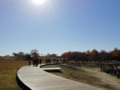 -塞罕坝国家级自然保护区