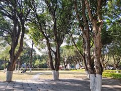 -厦门大学(思明校区)