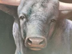 -额尔敦牛厨师铜板烧