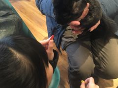 -藦茜花园宠物主题亲子互动体验馆(国顺东路店)
