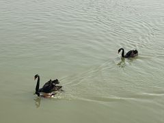 -天津东丽湖风景区