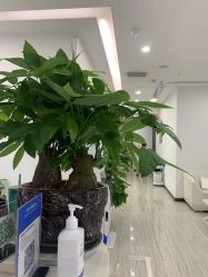 -悟空祛痘·亚健康皮肤管理中心