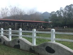 -瑞穗牧场