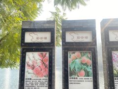 -重庆彩云湖湿地公园