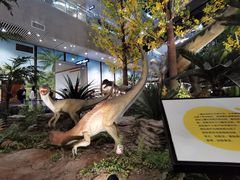 -湖南省地质博物馆