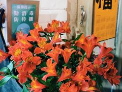 -寂照庵