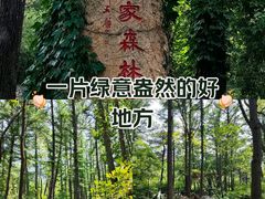 -鲁山国家森林公园