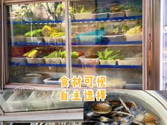 -全乐鱼馆·淳牌有机鱼直营店