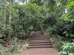 -潜山国家森林公园