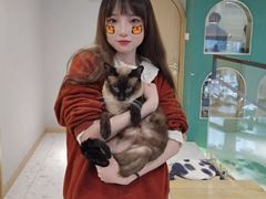 -飞行喵MR PILOT|猫舍·猫咖(静安大融城店)