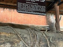 -海南槟榔谷黎苗文化旅游区