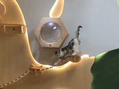 -猫和宫(六道口店)