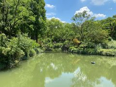 -上海醉白池公园