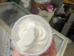 -洪馨椰子
