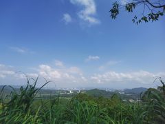 -黄埔油麻山森林公园