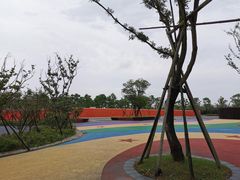 -春花秋色城市公园