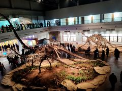 -自贡恐龙博物馆
