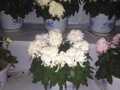 iphone_upload_pic-迎泽公园