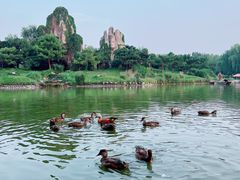-北京野生动物园