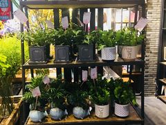 -豆豆花艺(新光天地店)