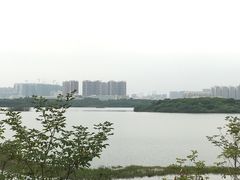 -立新湖公园