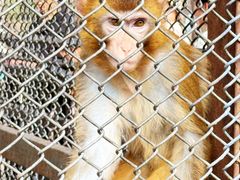 -长白岛森林公园