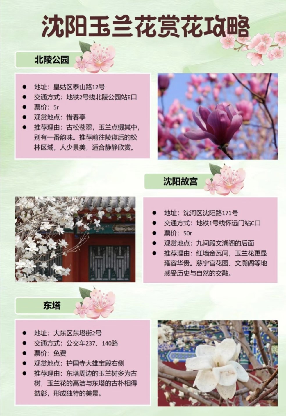 沈阳哪有批发鲜花的地方 沈阳哪有批发鲜花的地方