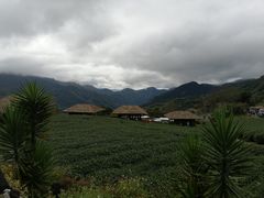 -优游吧斯邹族文化部落