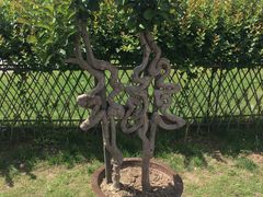 -南通洲际绿博园