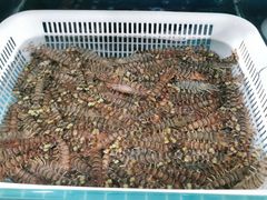 -宾朋海鲜美食特色餐厅·纯手工鲅鱼水饺(兴海路店)