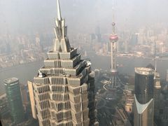 -上海柏悦酒店·世纪100牛排馆