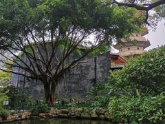 -乌山风景区