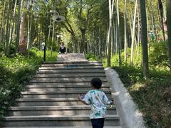 -东明山森林公园