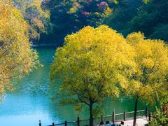 -九如山休闲旅游度假区