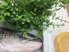 -海天盛宴新派海鲜自助餐厅(群力店)