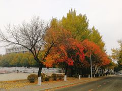 -吉林大学(南岭校区)