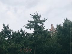 -石岛赤山风景区