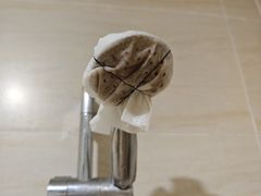 -林丰温泉度假山庄