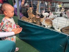 -朝阳公园游乐园