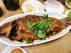功夫炖鲤鱼-晋宝章大同刀削面(和平里店)