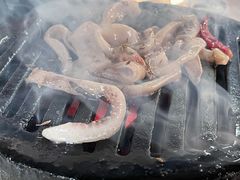 鱿鱼-大槐树烤肉馆