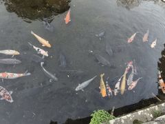 -水前寺成趣园