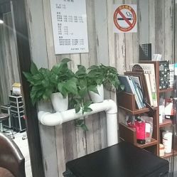 -Park Salon脏辫羽毛接发