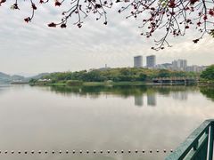 -水濂山水库景点停车场