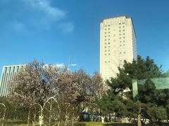 门面-长富宫饭店·日本料理樱