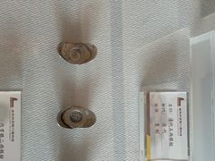 -南阳府衙