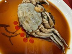 -红灯笼龙凤饭店(宁波老字号店)