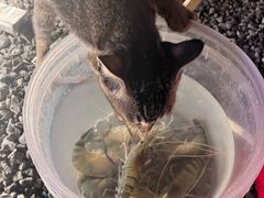 -DGE季风钓虾营地·团建·聚会