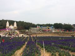-松山湖梦幻百花洲